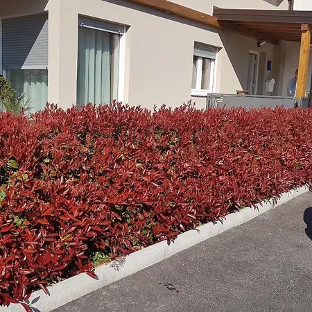 Appartement Zagar Lux Poreč